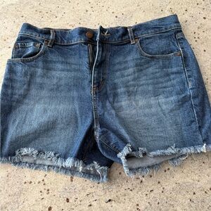 Loft’s Fresh Cut High Rise Cut Off Denim Shorts